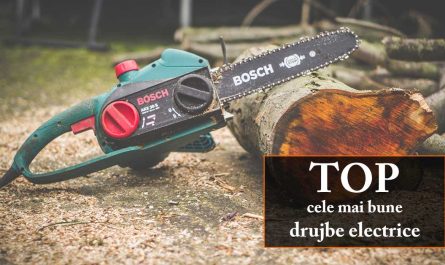 TOP cele mai bune drujbe electrice