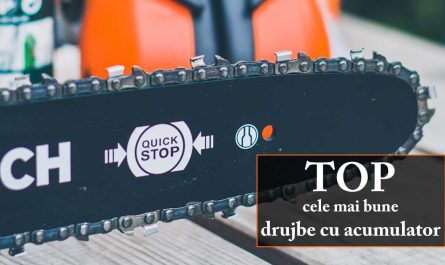 TOP cele mai bune drujbe electrice cu acumulator