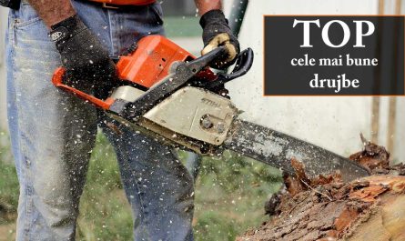 TOP cele mai bune drujbe (motofierăstraie)