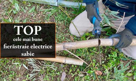TOP cele mai bune fierăstraie electrice sabie