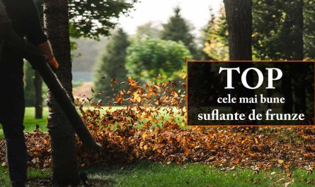 Top cele mai bune suflante de frunze