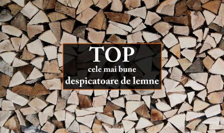 TOP 7 cele mai bune despicătoare de lemne în 2023