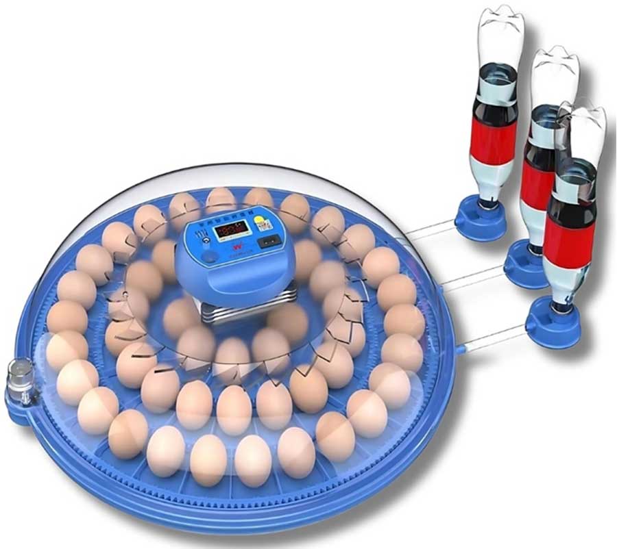 Incubator automat de ouă Whimlets