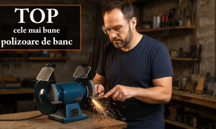 TOP cele mai bune polizoare de banc