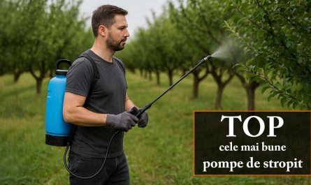 TOP cele mai bune pompe de stropit (vermorel)