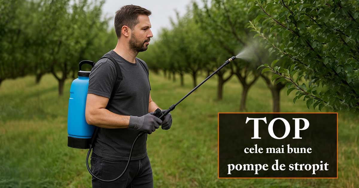 TOP 5 cele mai bune pompe de stropit electrice (vermorel) în 2025